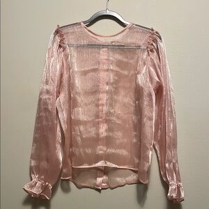 FREE PEOPLE Sheer Pink Long Sleeve Blouse